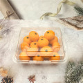 Plastic PET Fruit Blister Clamshell Box Packaging